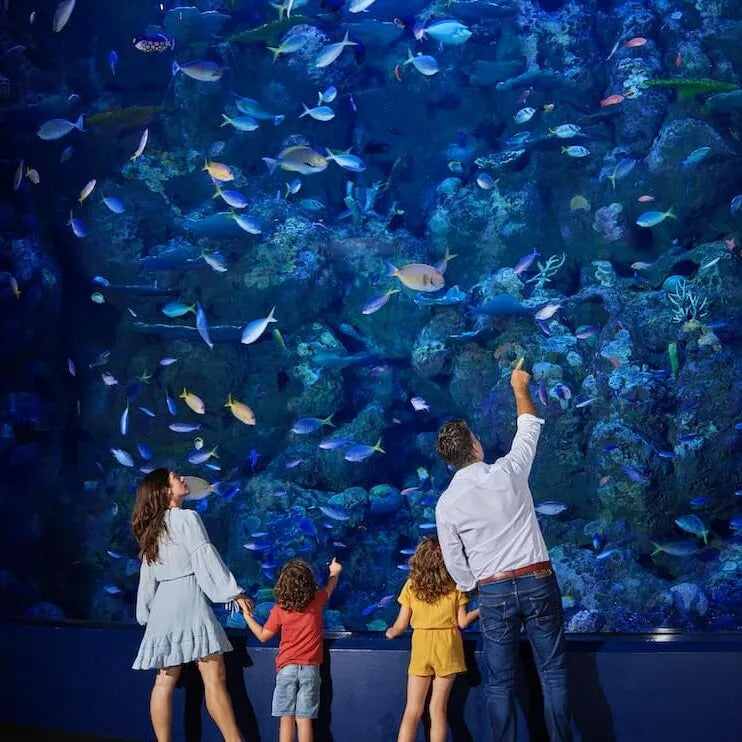 Cairns Aquarium - Cairns