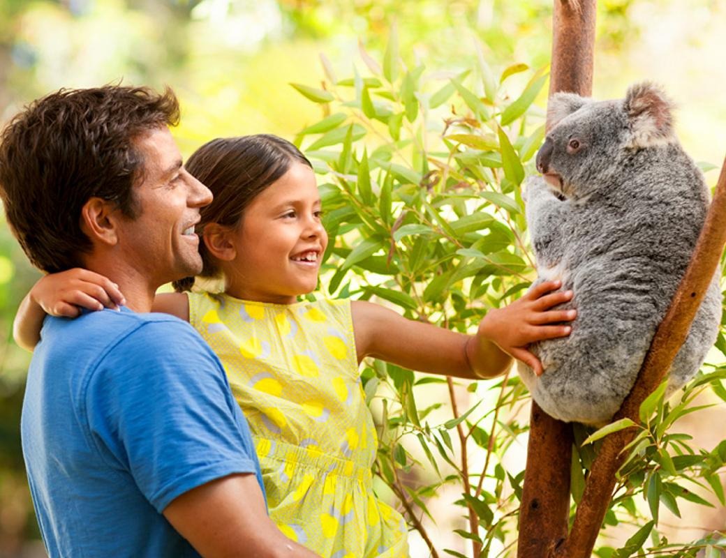 Australia Zoo - Beerwah