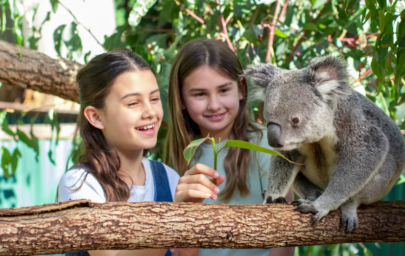 6 Perfect One-Day Itineraries for Families with Young Kids in Melbourne