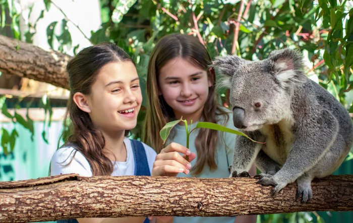 6 Perfect One-Day Itineraries for Families with Young Kids in Melbourne