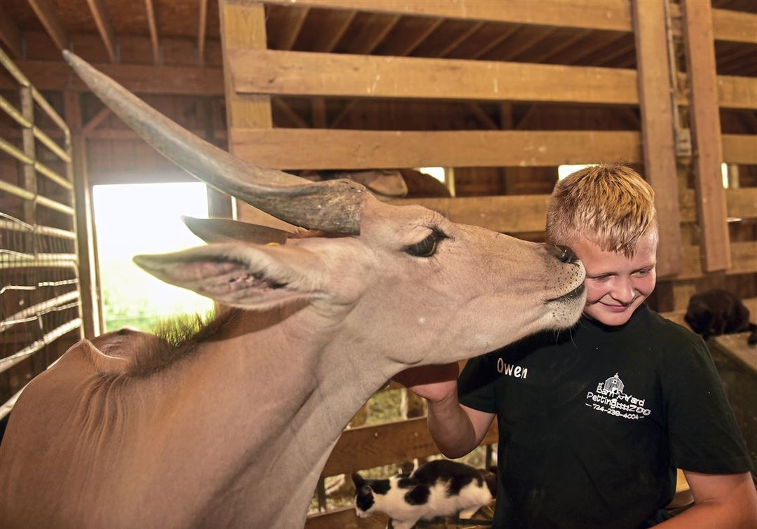 6 Animal & Wildlife Encounters for Curious Kids Near Adelaide