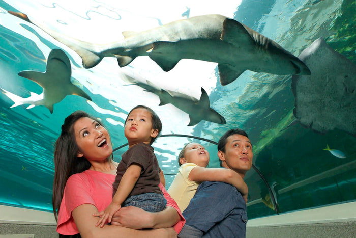 6 Indoor Play Spots & Rainy Day Saves in Melbourne