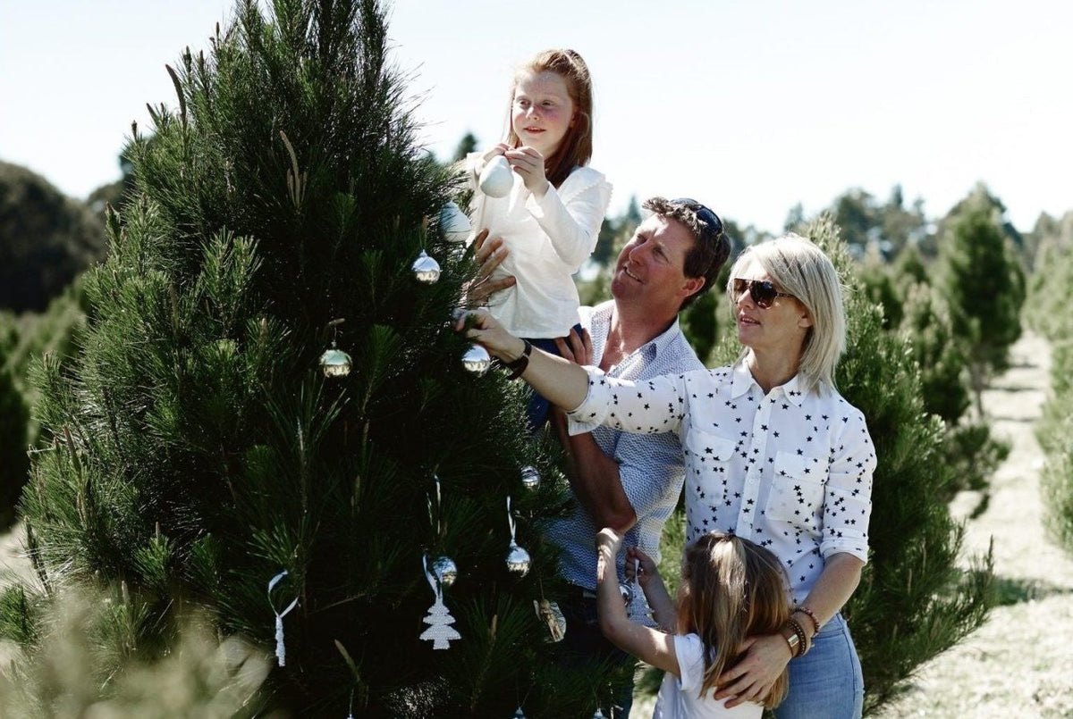 6 Magical Places to Find a Christmas Tree Spot in Sydney