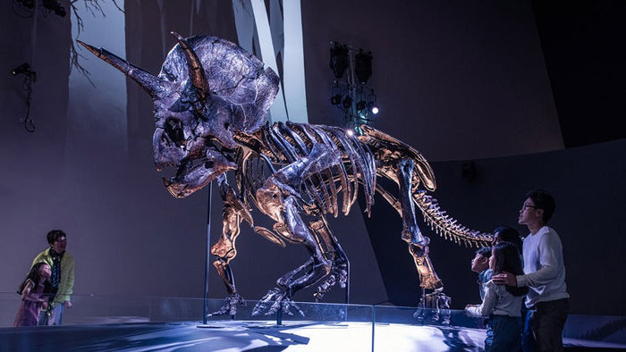 6 Free & Budget-Friendly Things to Do in Melbourne These School Holidays