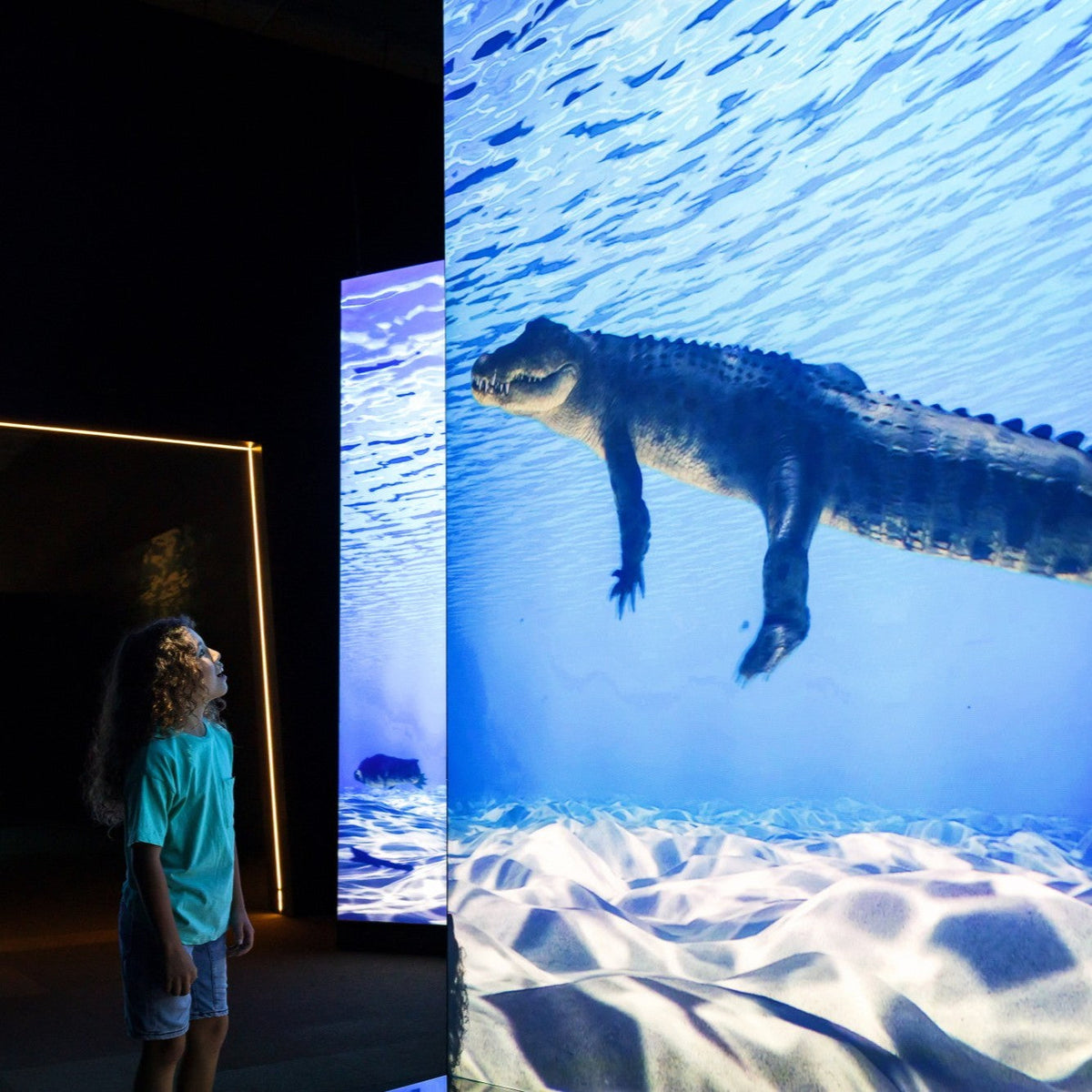 Crocodile Exhibition Brisbane for Kids: “Croc!” at Queensland Museum Kurilpa