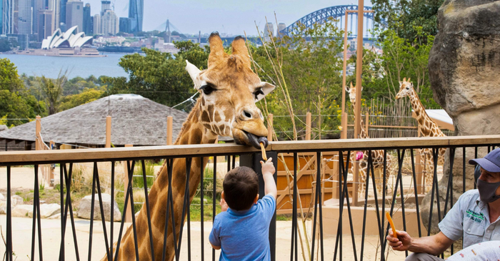 Sydney's Coolest Winter School Holiday Adventures: July 2025