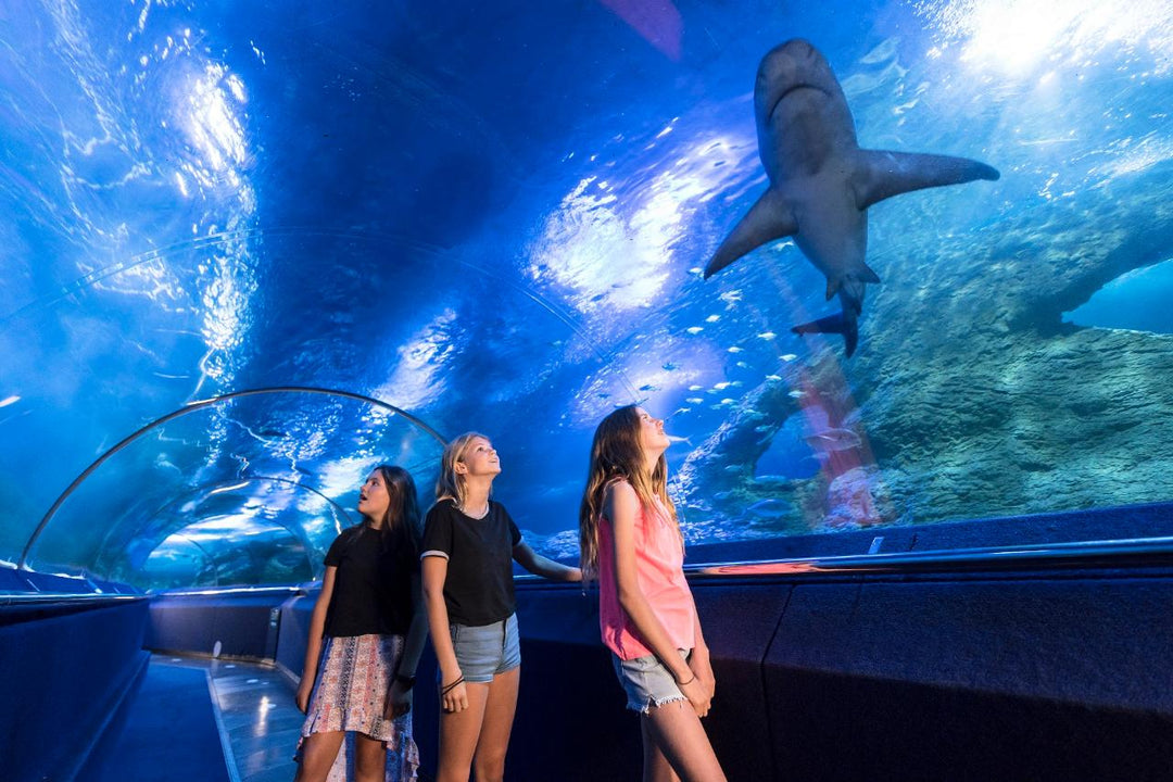 AQWA (Aquarium of Western Australia) - Joondalup