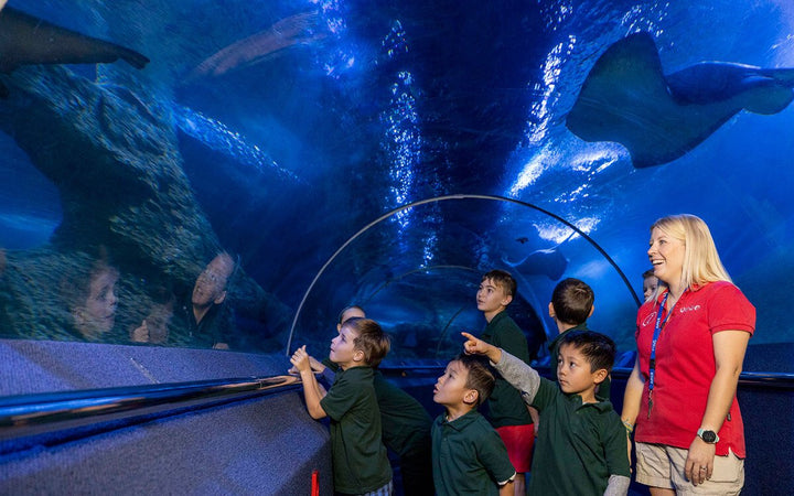 AQWA (Aquarium of Western Australia) - Joondalup