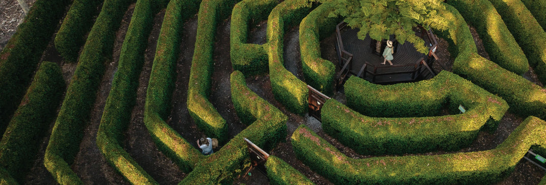 The Maze - Bullsbrook