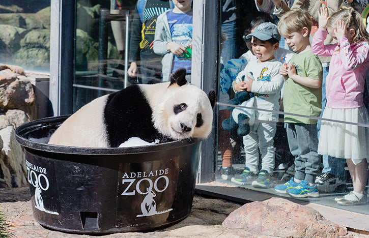 Adelaide Zoo - Adelaide