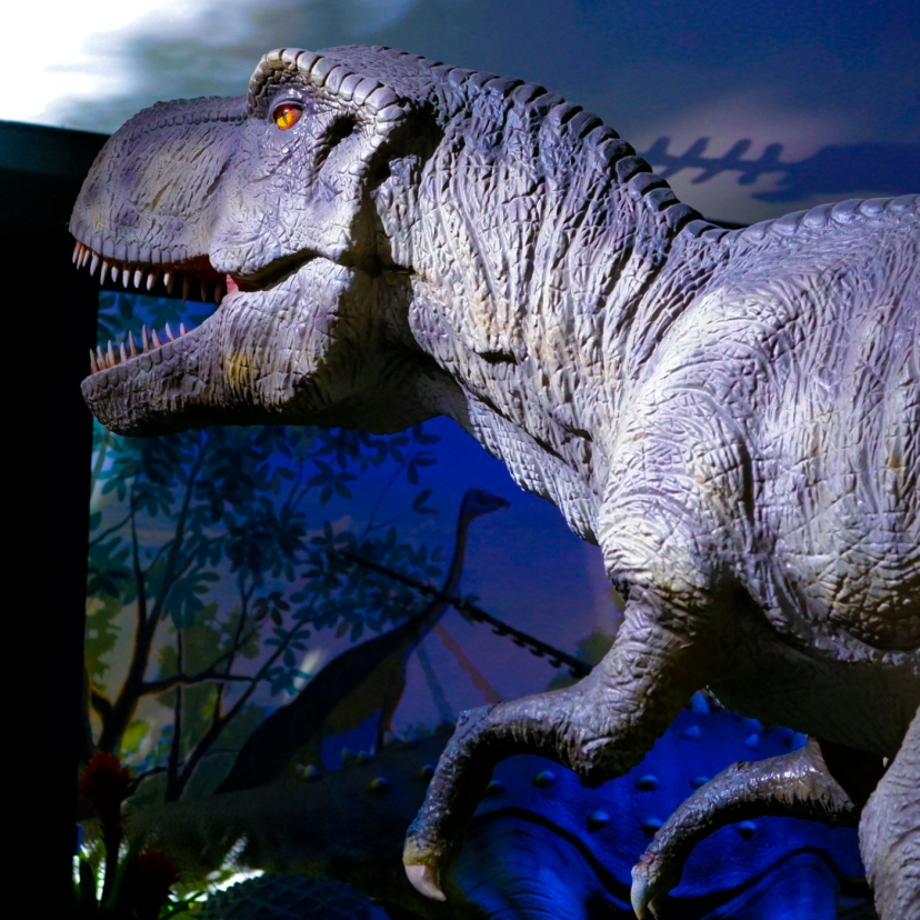 National Dinosaur Museum - Canberra