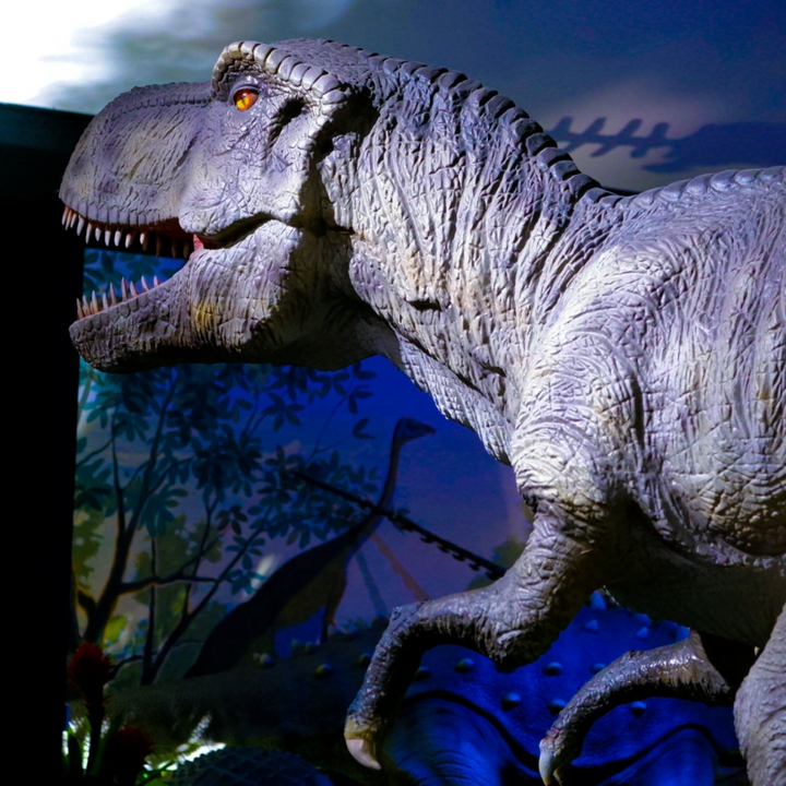 National Dinosaur Museum - Canberra