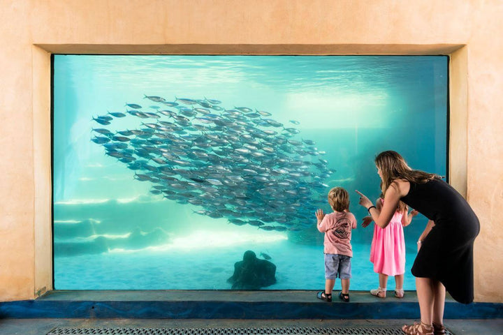 AQWA (Aquarium of Western Australia) - Joondalup