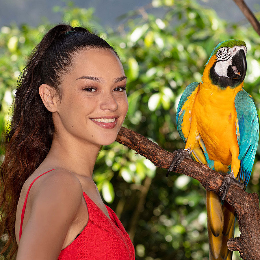 Birdworld - Kuranda
