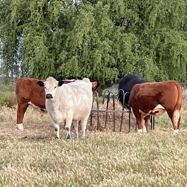 Shukura Park Farm