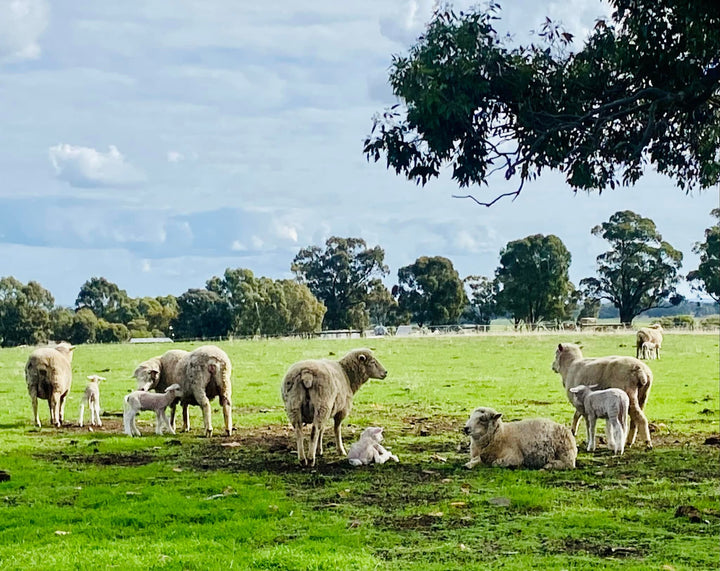 Sunny Acres Farm