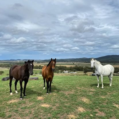Roseneath Farm Stay