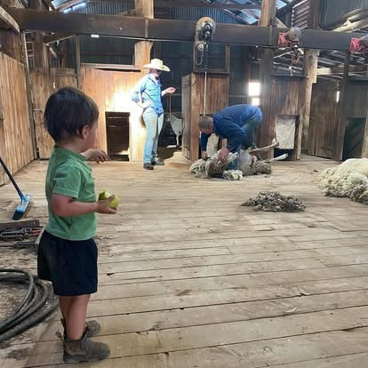 Roseneath Farm Stay