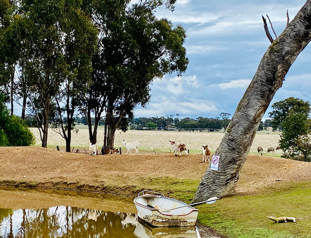 Sunny Acres Farm