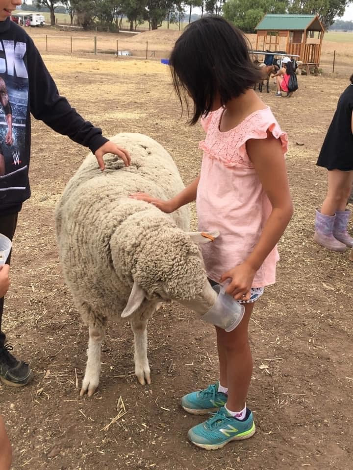 Sunny Acres Farm