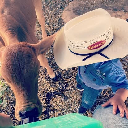 Roseneath Farm Stay