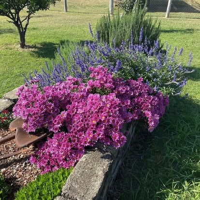 Roseneath Farm Stay