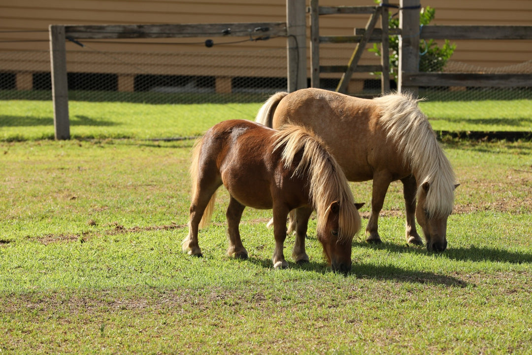 The Hermitage Luxury Farm Stay
