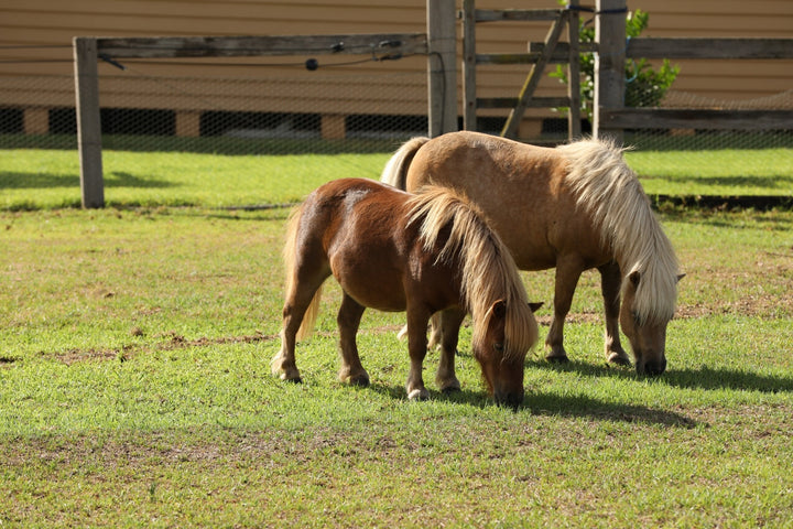 The Hermitage Luxury Farm Stay
