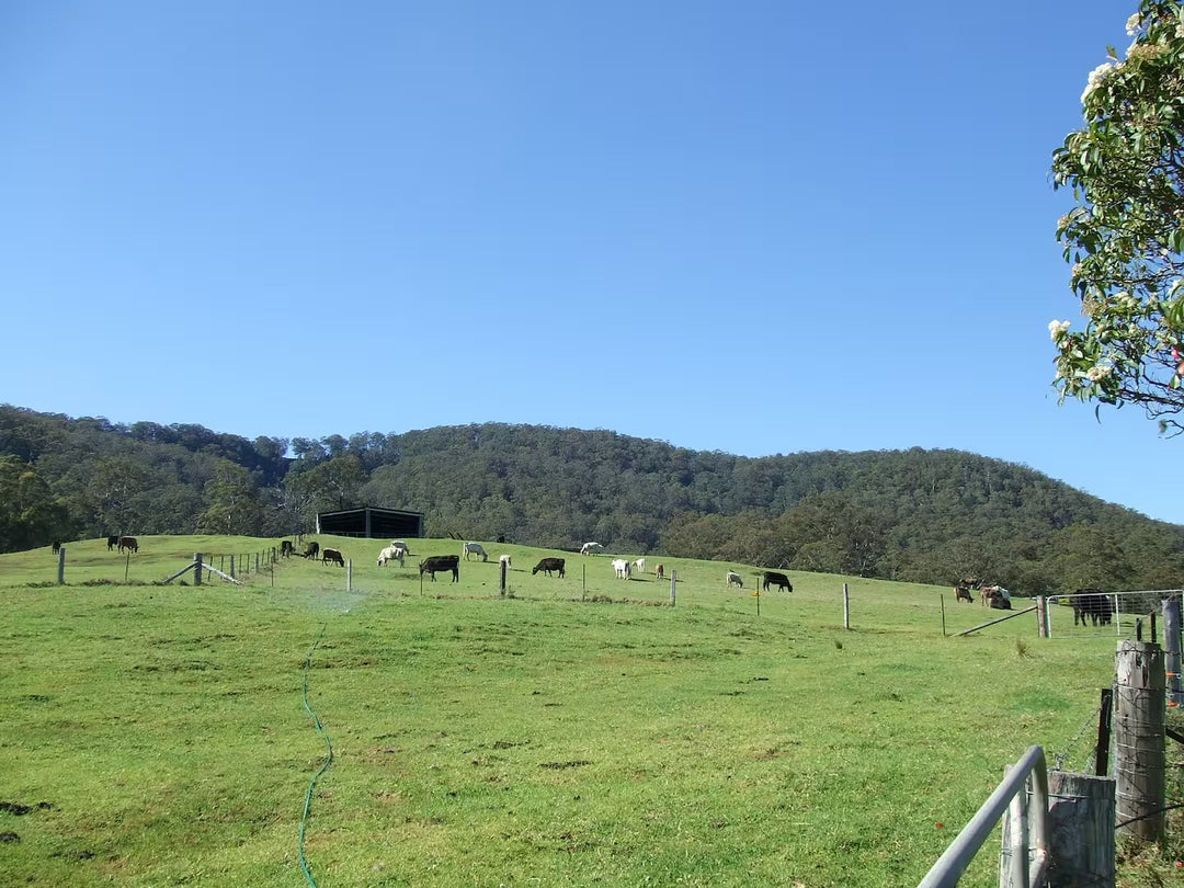 The Dairy at Beauridge Farm
