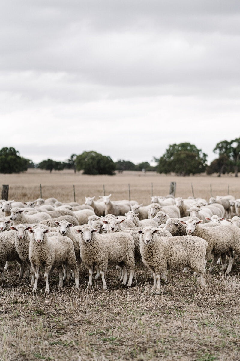 Woolbrook Homestead