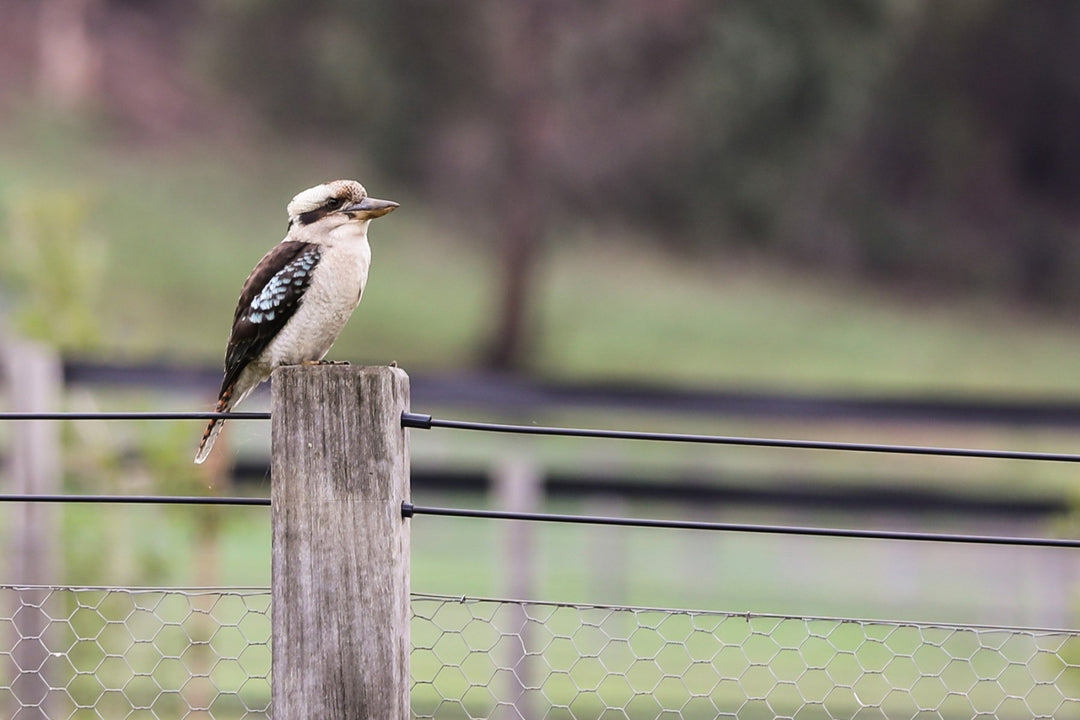 The Hermitage Luxury Farm Stay