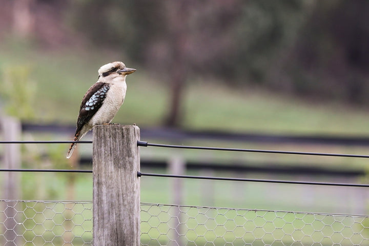 The Hermitage Luxury Farm Stay