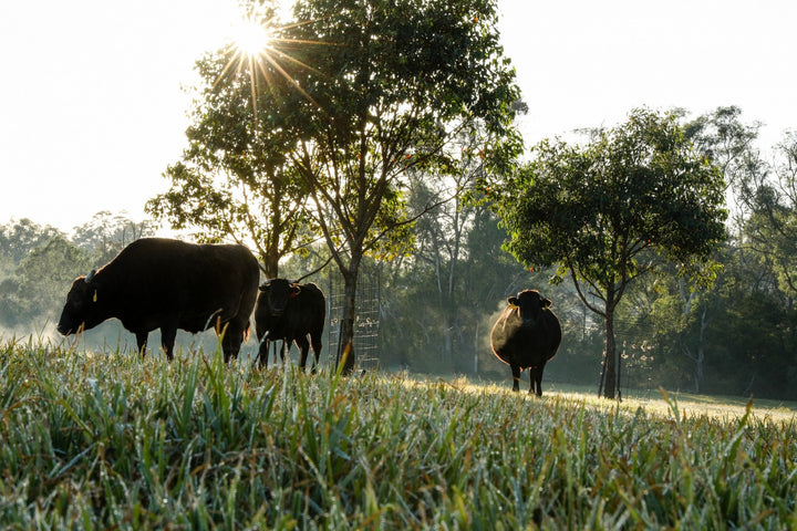 The Hermitage Luxury Farm Stay