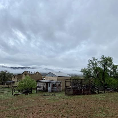 Roseneath Farm Stay