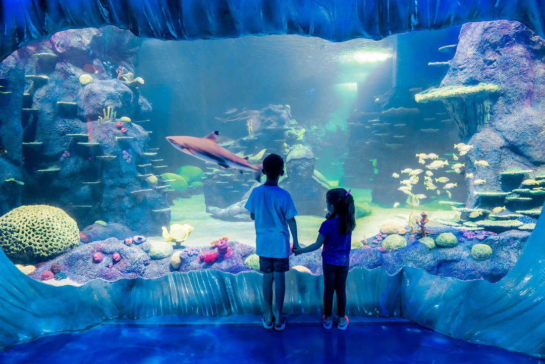 SEA LIFE - Sydney