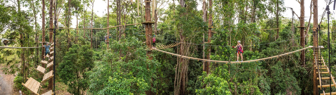 Treetop Challenge - Sunshine Coast
